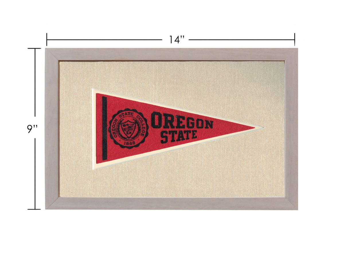 Vintage Michigan State Pennant