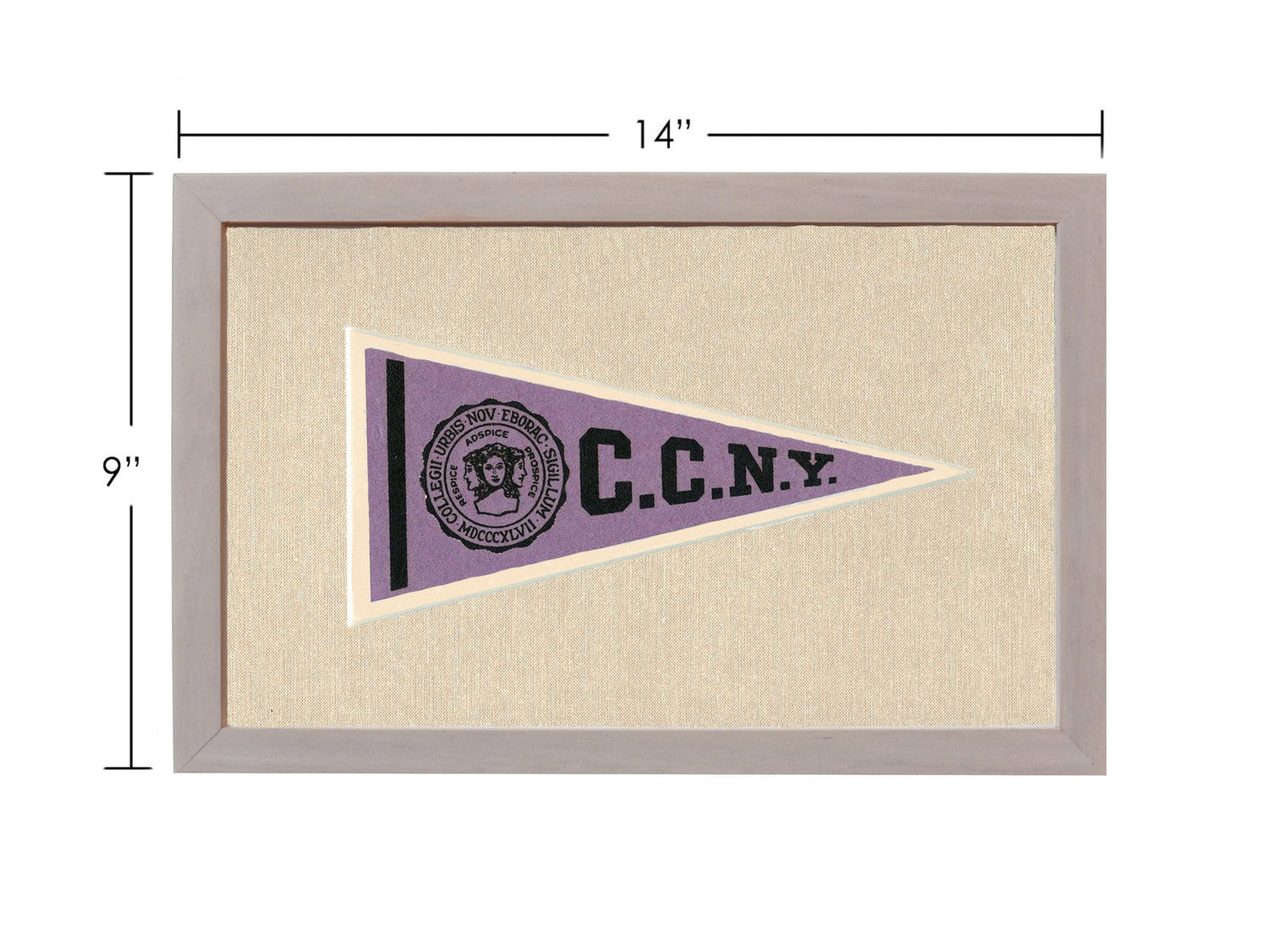 Americana Memories Vintage Pennants and Memorabilia Vintage City College of New York Pennant