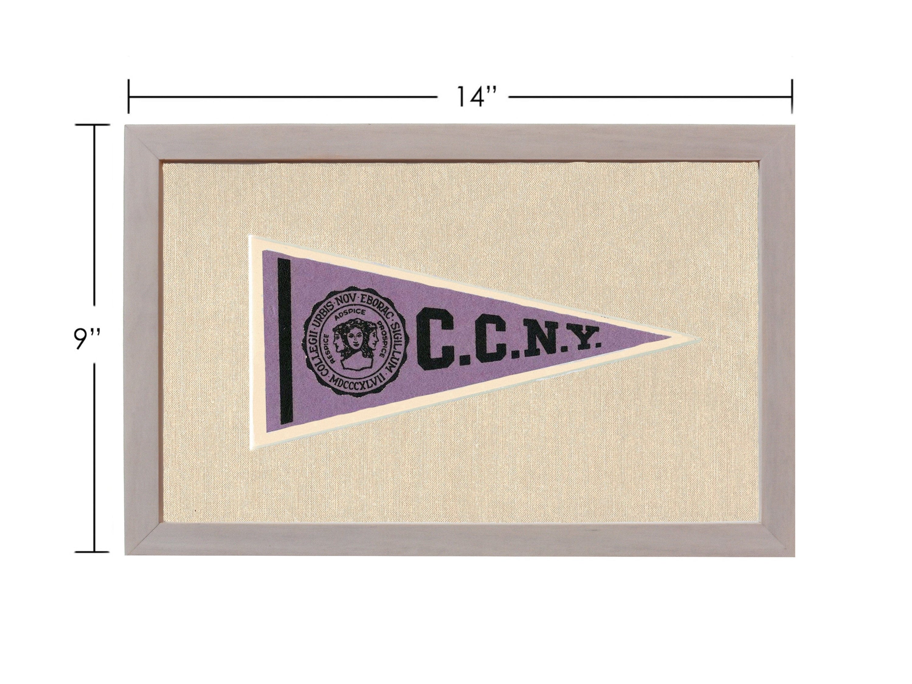 Americana Memories Vintage Pennants and Memorabilia Vintage City College of New York Pennant