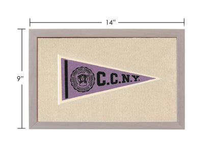 Americana Memories Vintage Pennants and Memorabilia Vintage City College of New York Pennant