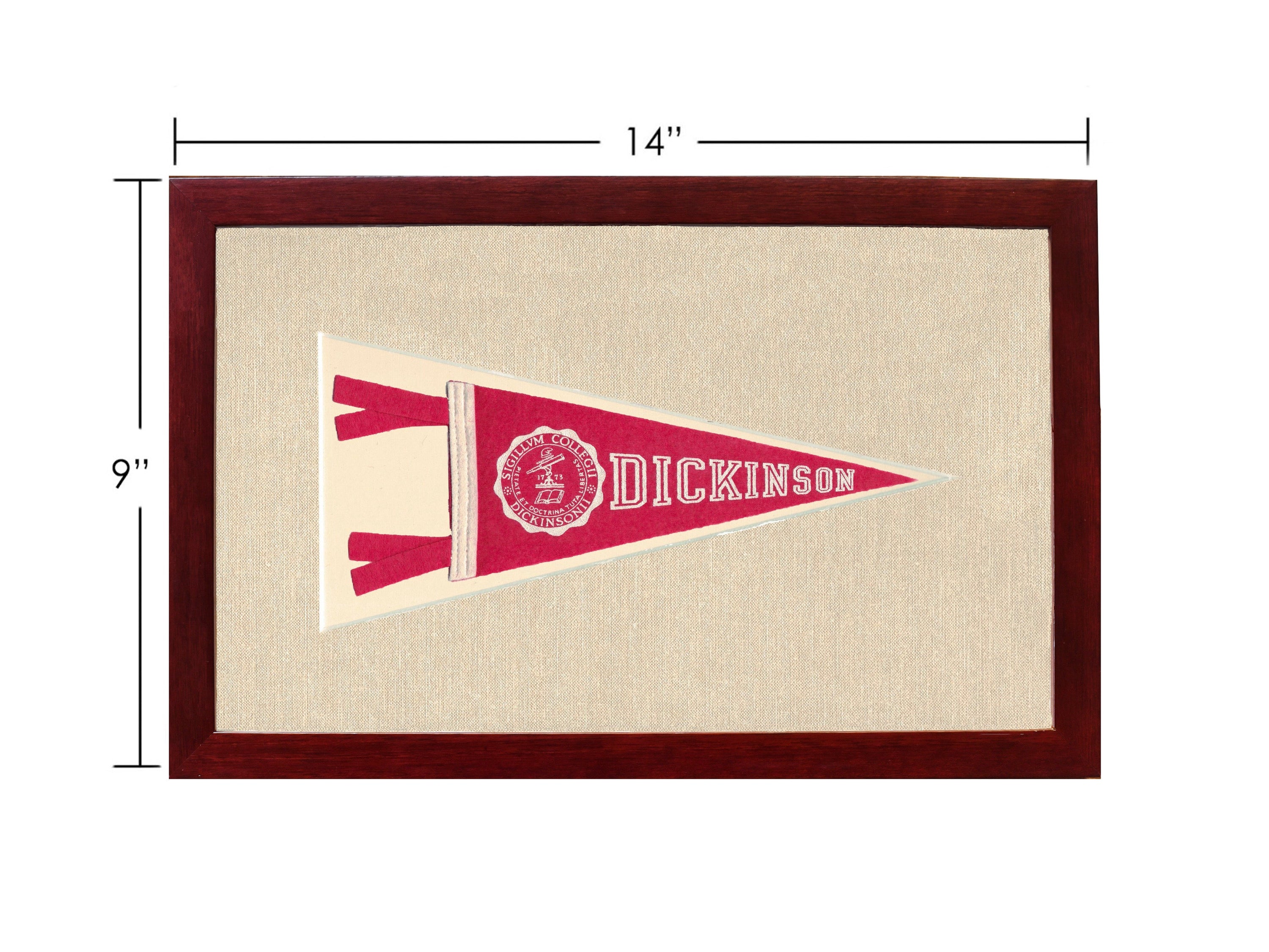 Vintage Dickinson College Pennant