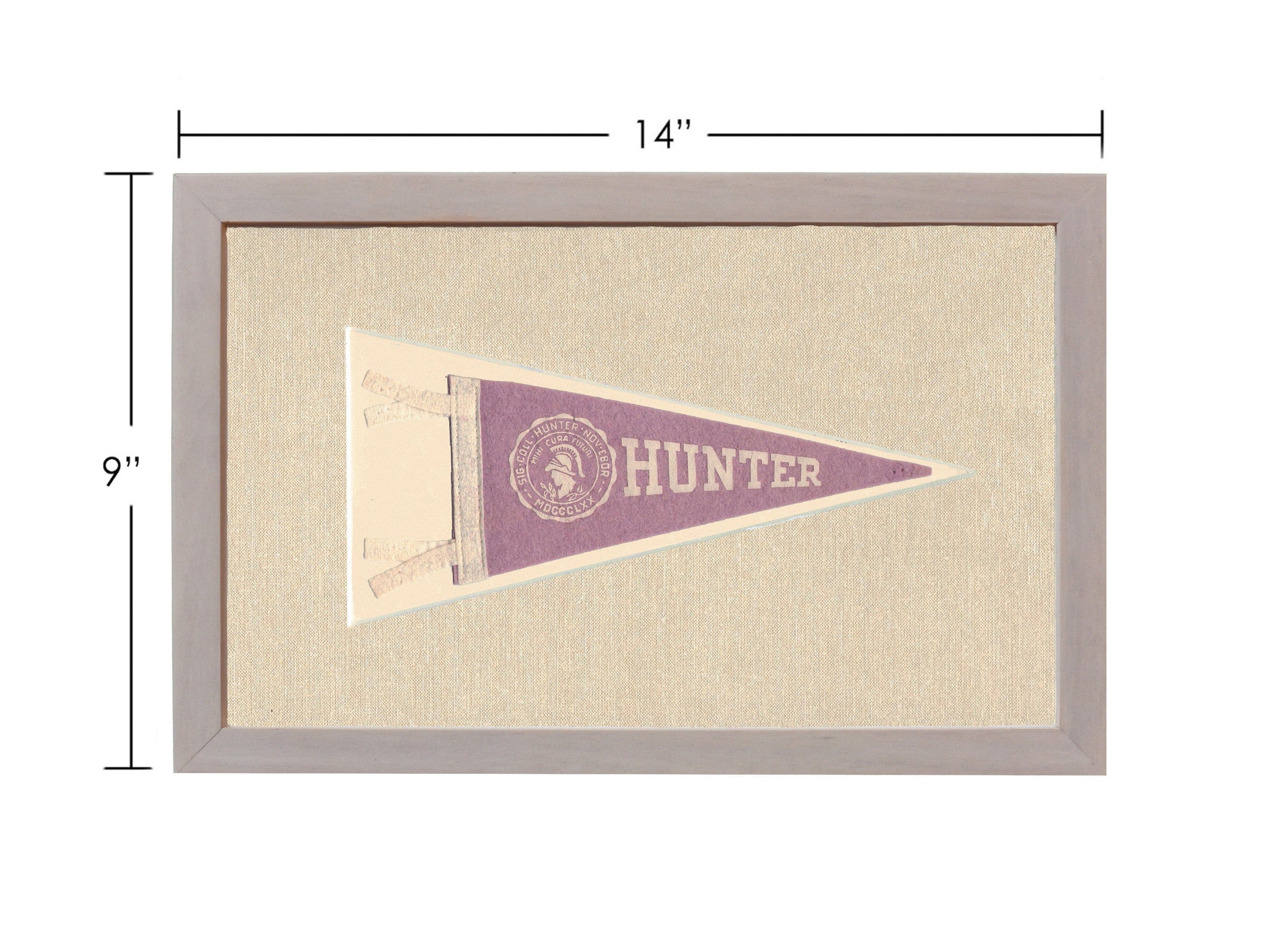 Americana Memories Vintage Pennants and Memorabilia Vintage Hunter College Pennant