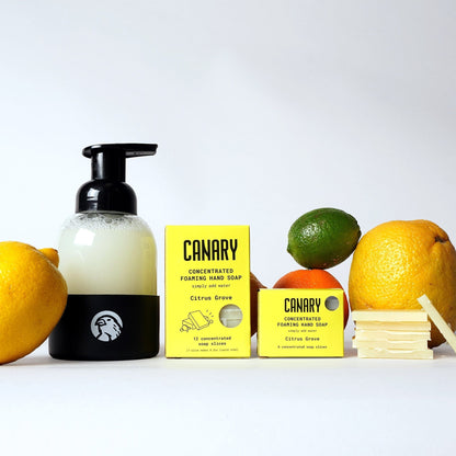 Canary Hand Soap Gift Pack - 24 slices Concentrated Hand Soap Refill Bars - 4-Scent Gift Pack