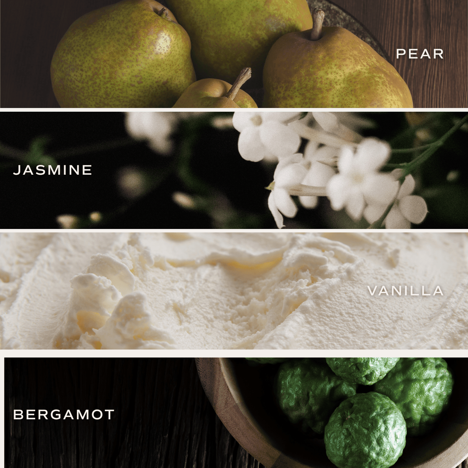 Cashmere and Vanilla Clear Reed Diffuser