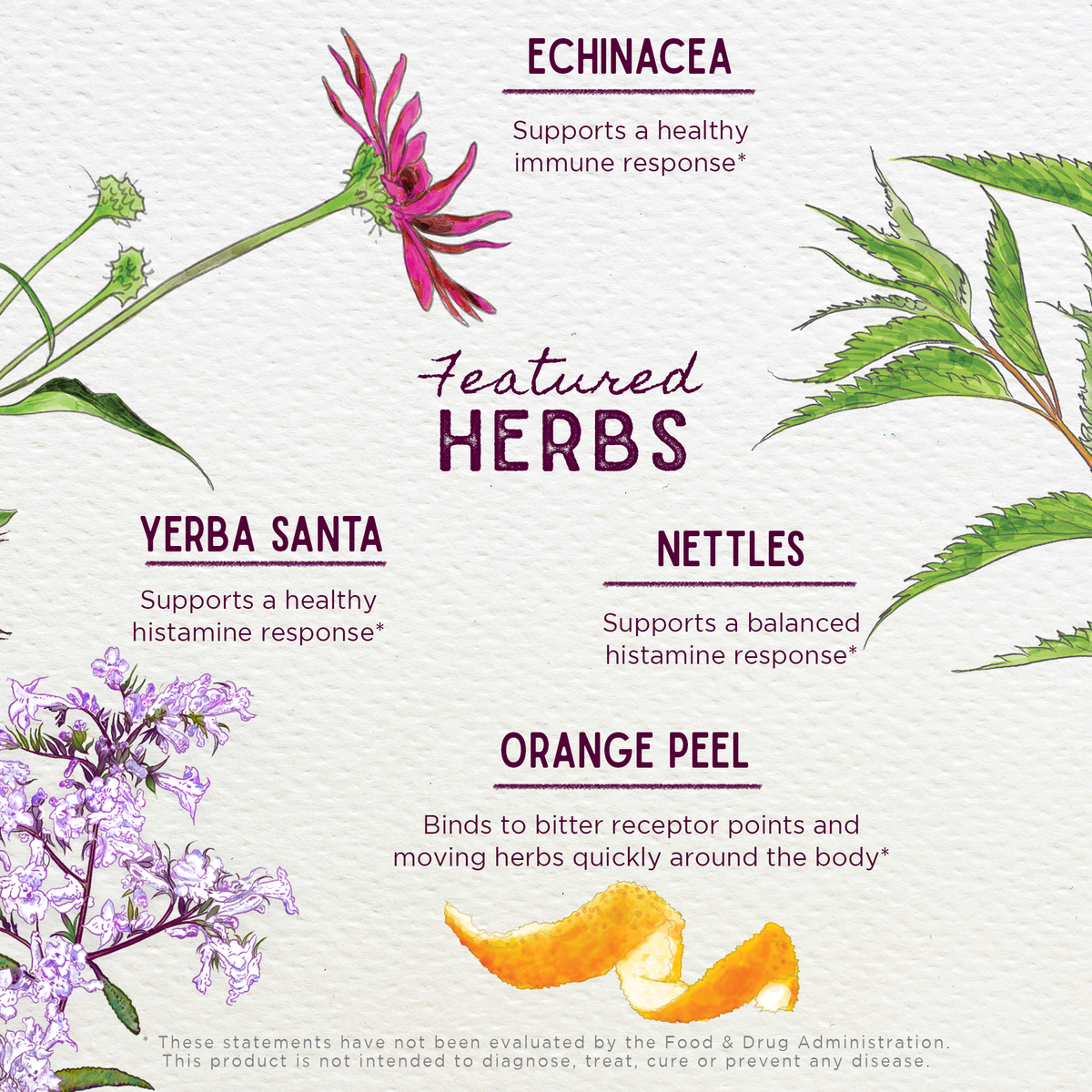 Kick-Ass Allergy &amp; Sinus, Soother