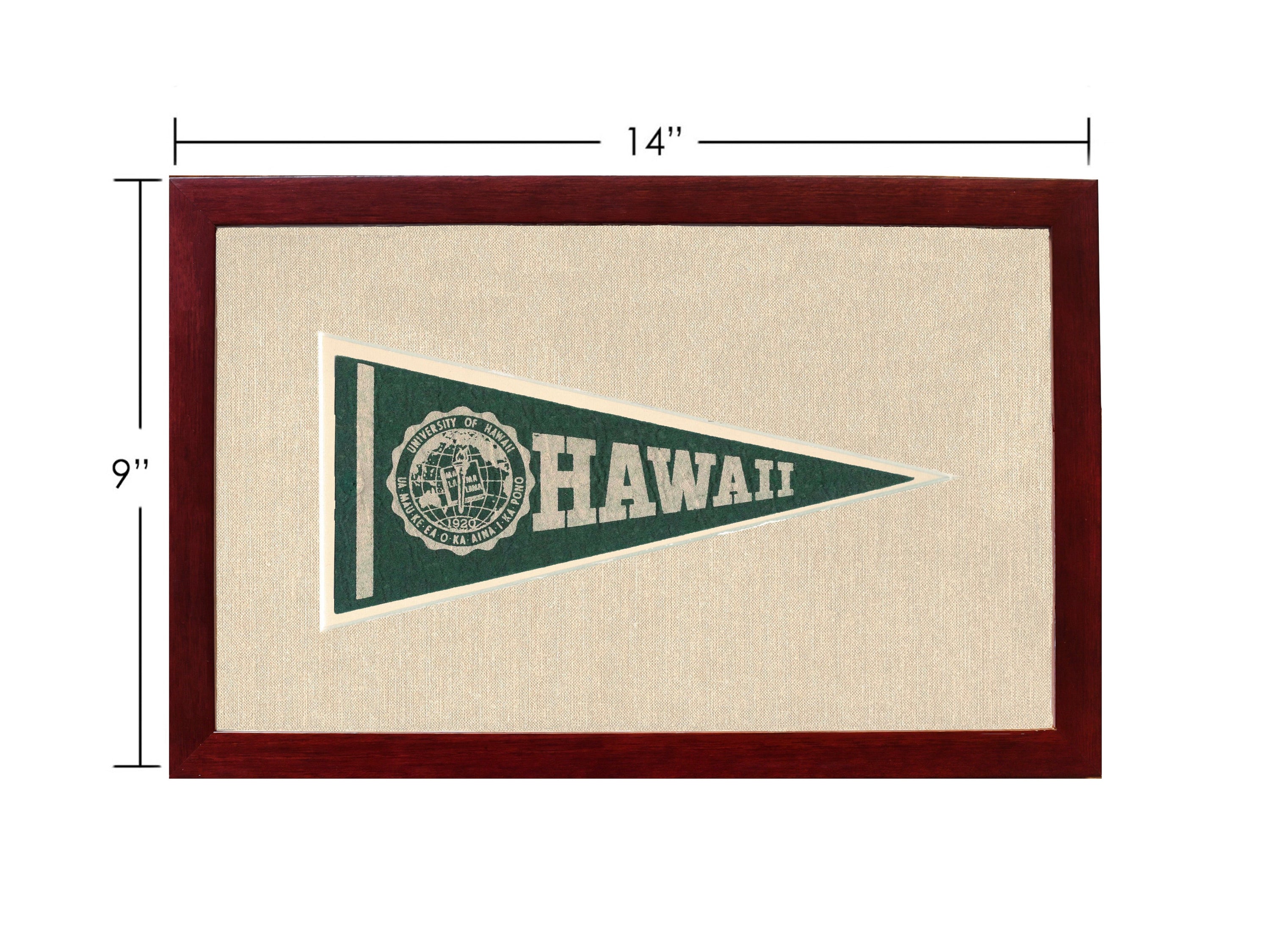 Vintage University of Hawaii Pennant