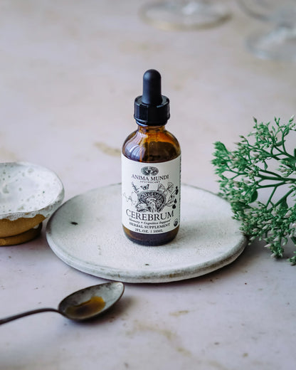 Anima Mundi Herbal supplements CEREBRUM Tonic | Nootropic + Cognitive Support*