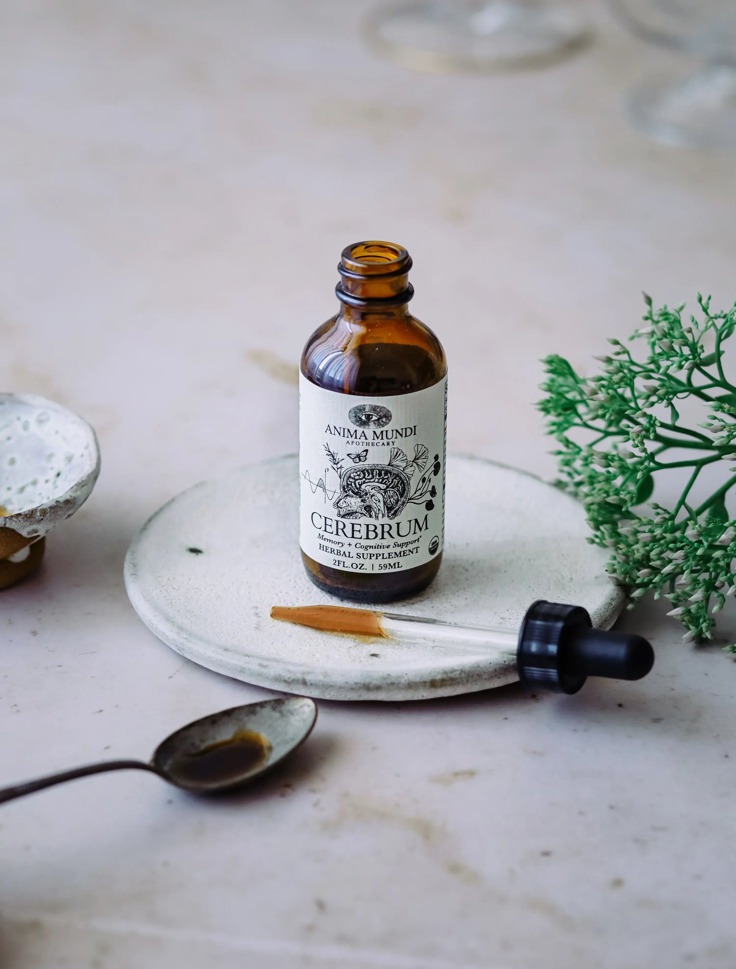Anima Mundi Herbal supplements CEREBRUM Tonic | Nootropic + Cognitive Support*
