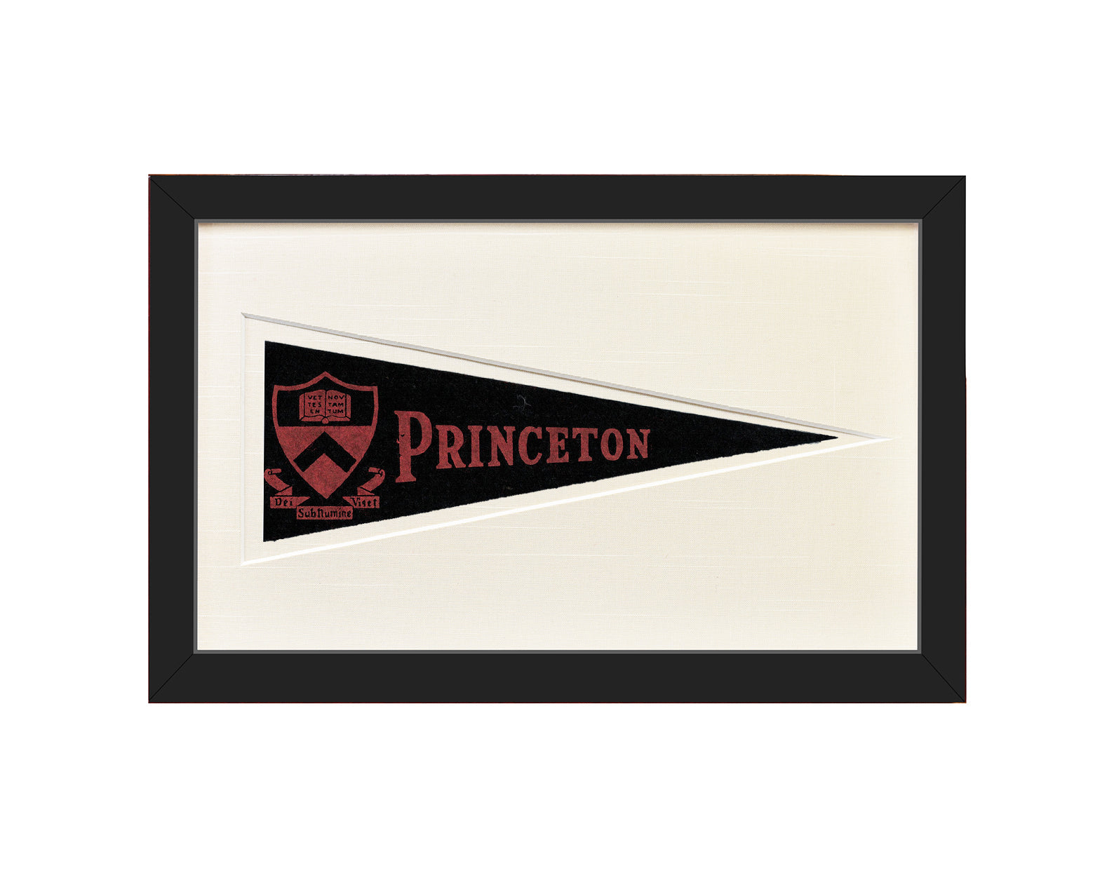 Vintage Princeton University Hormel Pennant