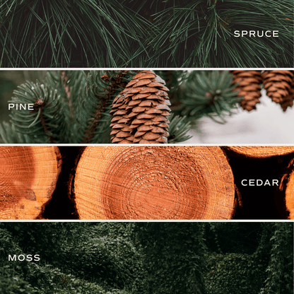 Sweet Water Decor Candles Christmas Tree Farm Soy Candle - Green Matte Jar - 15 oz