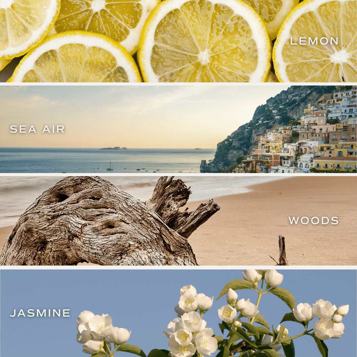 Coastal Lemon Soy Candle - Clear Jar - 9 oz