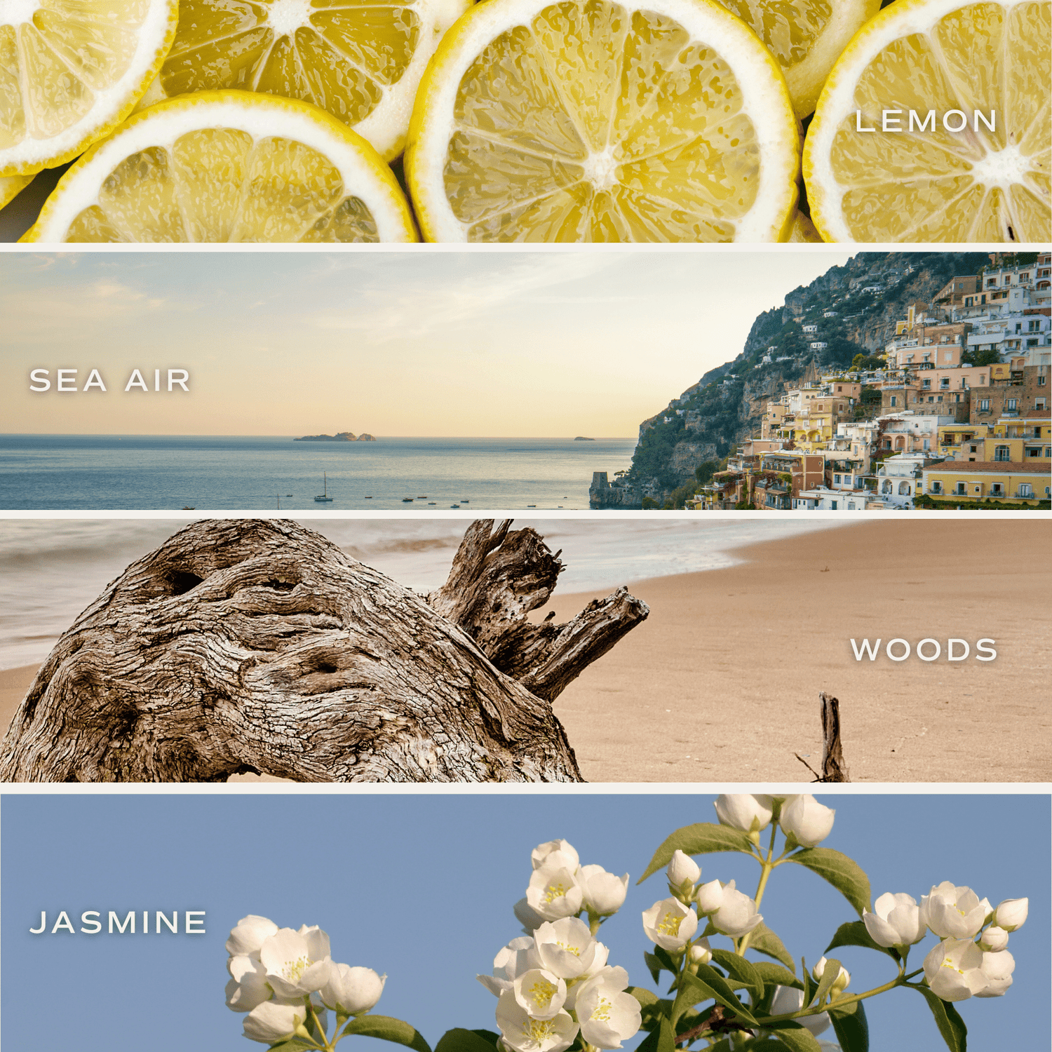 Coastal Lemon Soy Candle - Blue Tinted Glass Jar - 12 oz