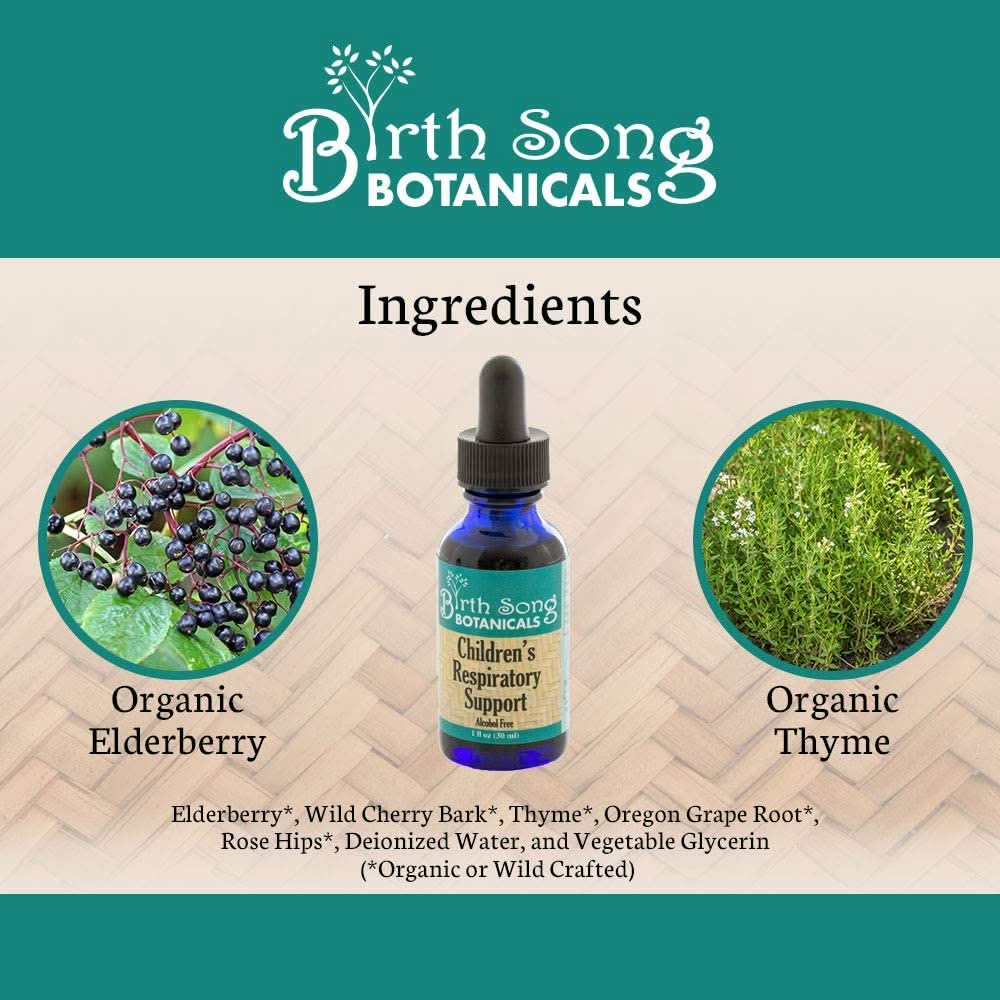 Birth Song Botanicals Co. Tinctures Default Children’s Herbal Tincture – Elderberry &amp;amp; Botanical Blend (1 oz)