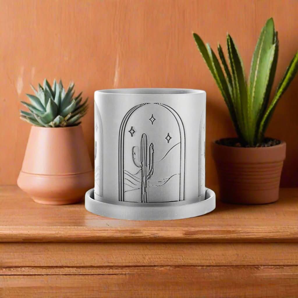 Rosebud HomeGoods Pots &amp; Planters Cactus Planter