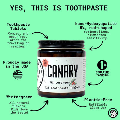 Wintergreen Toothpaste Tablets