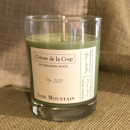 Soy Candle - Jade Mountain (Aloe &amp; Agave)