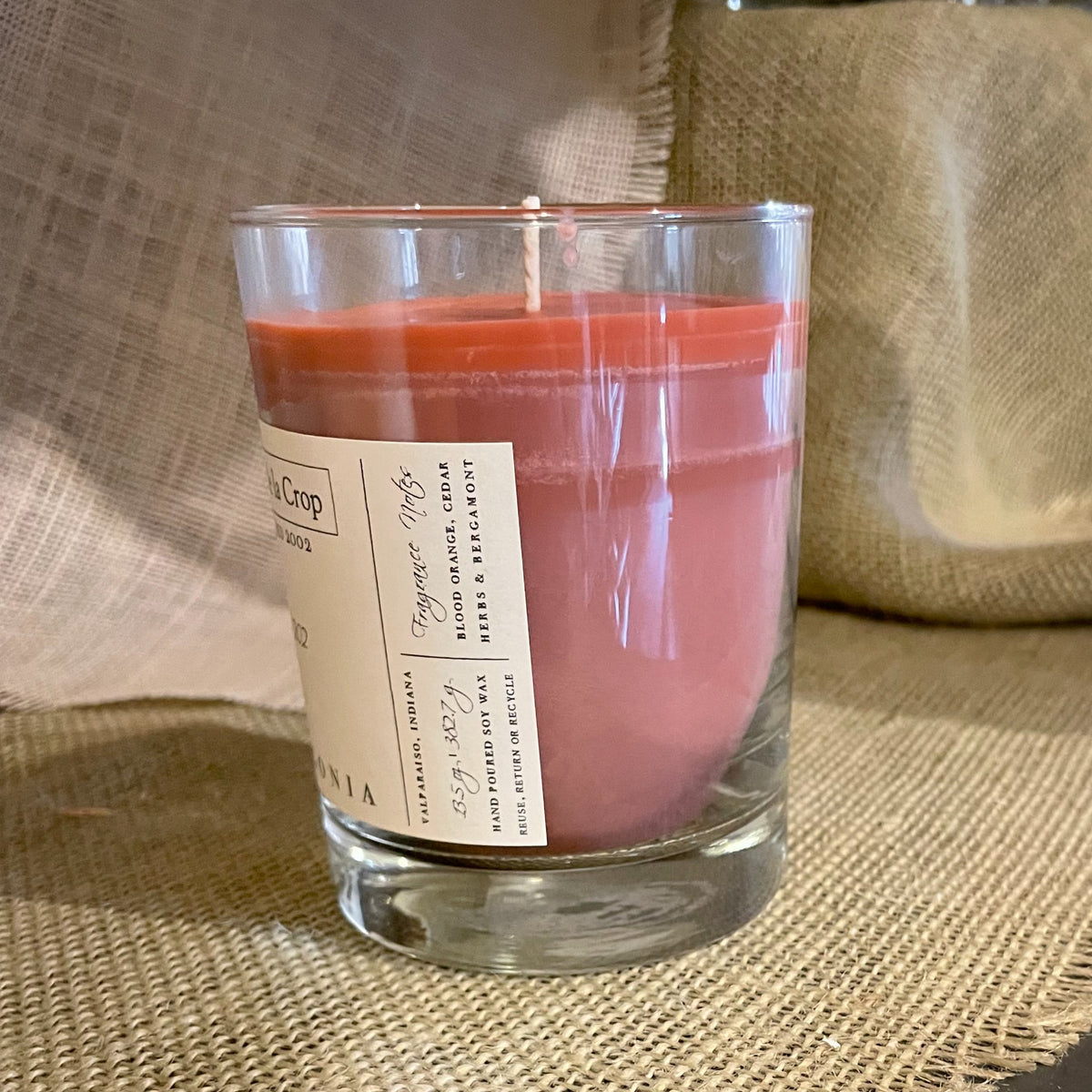 Soy Candle - Palagonia (Blood Orange)