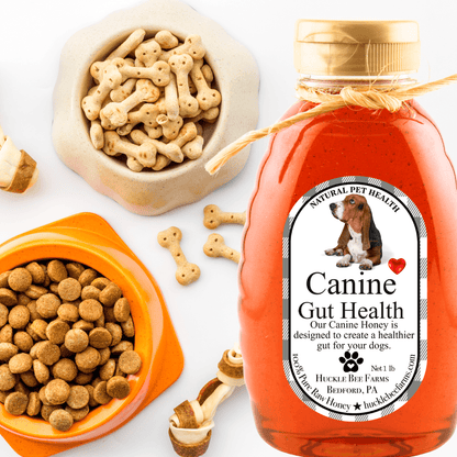 K9 Honey: Vet-Approved Allergy Relief &amp; Immune Support