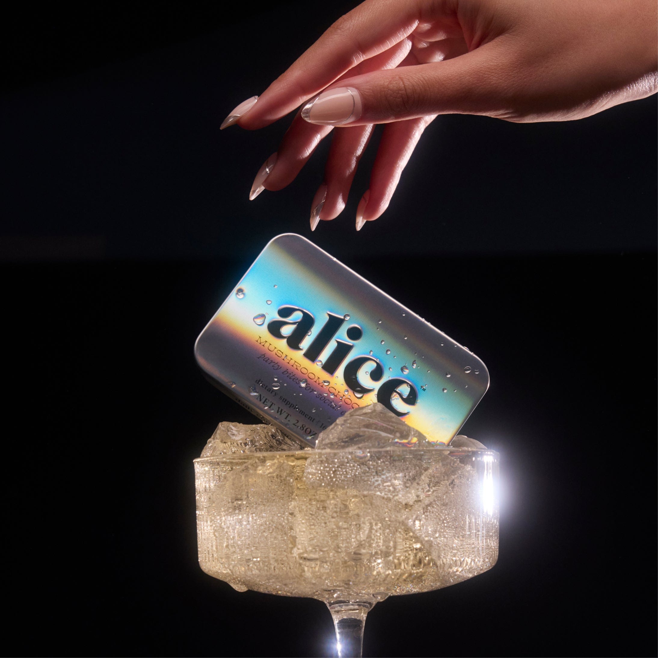 alice mushrooms Party Trick Functional Mushroom Chocolates