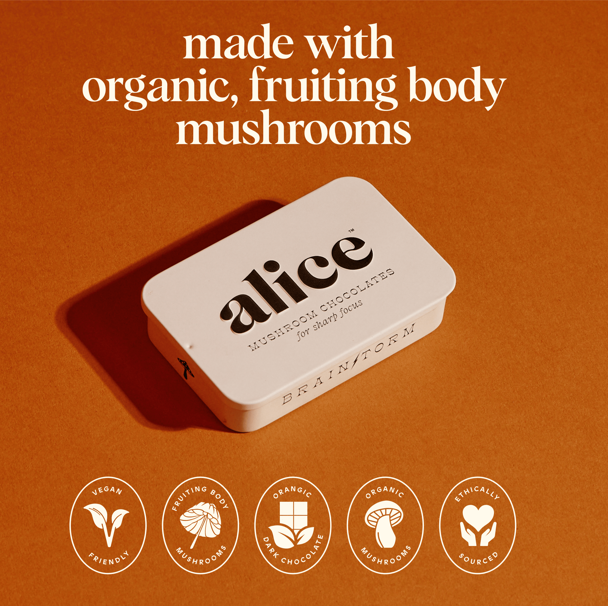 alice mushrooms Brainstorm Functional Mushroom Chocolates