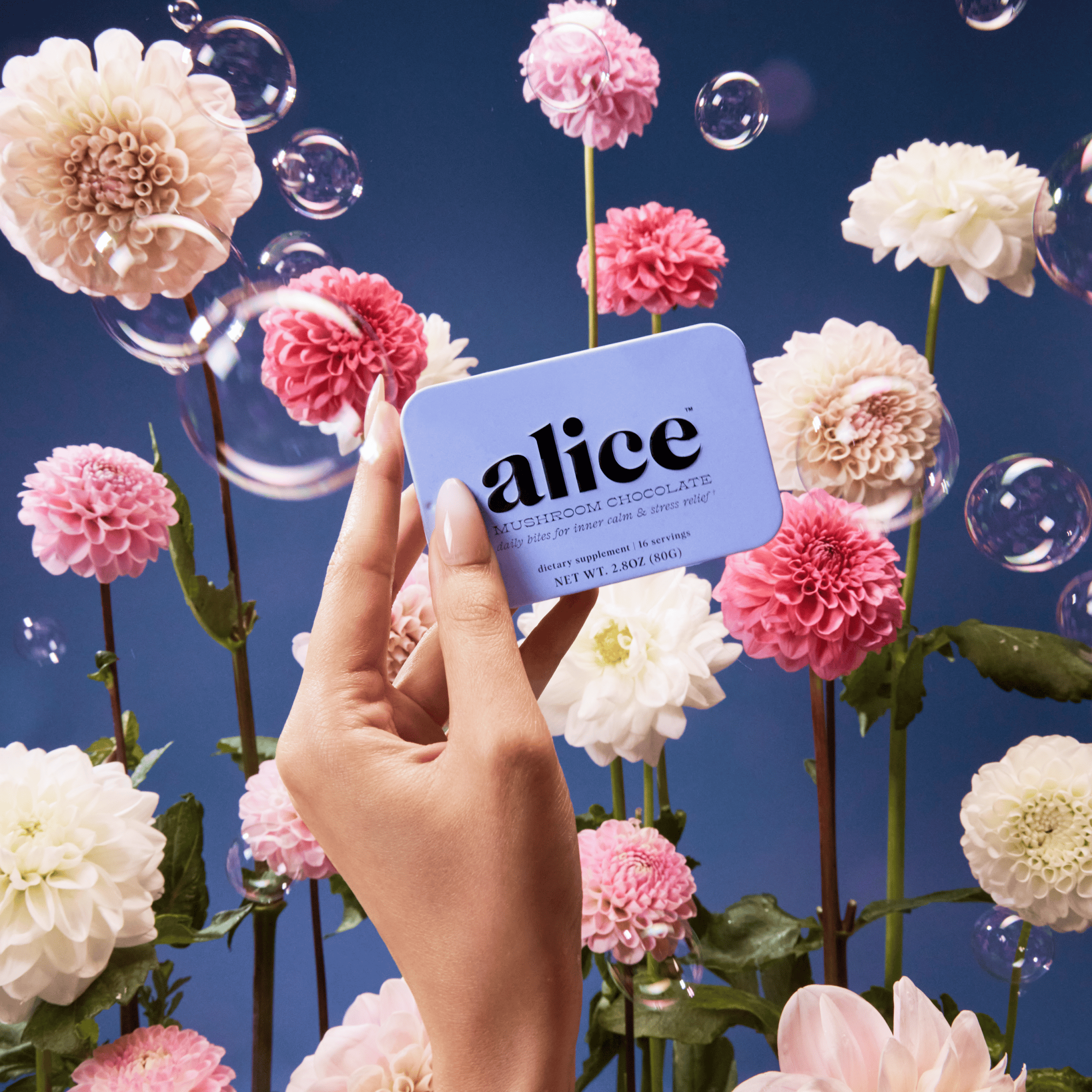 alice mushrooms Vitamins &amp; Supplements Zen-X Functional Mushroom Chocolates
