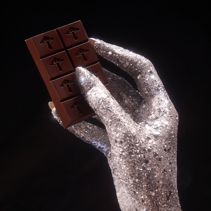 alice mushrooms Party Trick Functional Mushroom Chocolates