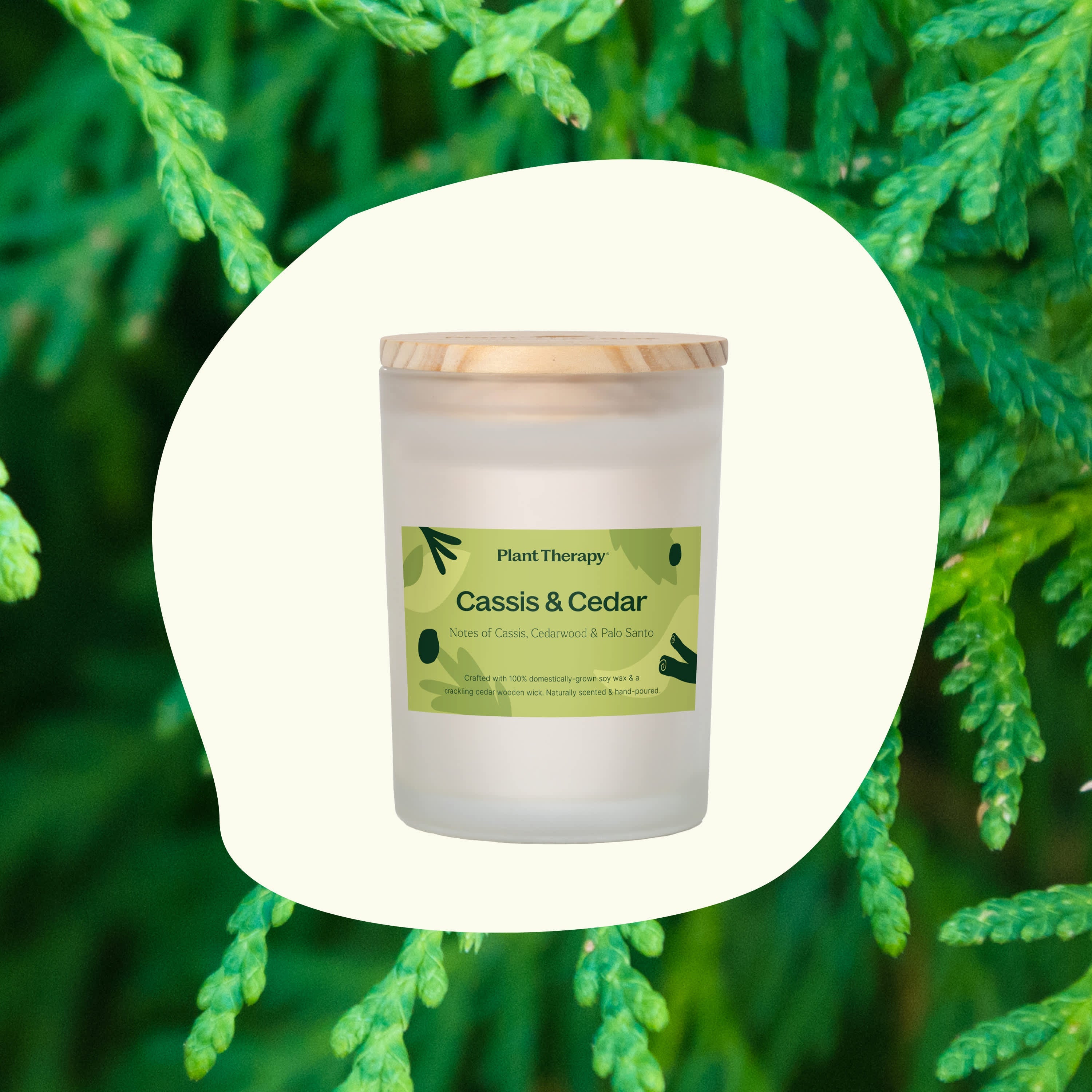 Cassis &amp; Cedar Naturally Scented Candle - My American Goods