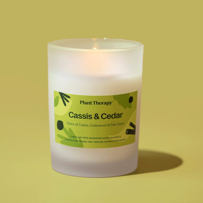 Cassis &amp; Cedar Naturally Scented Candle - My American Goods