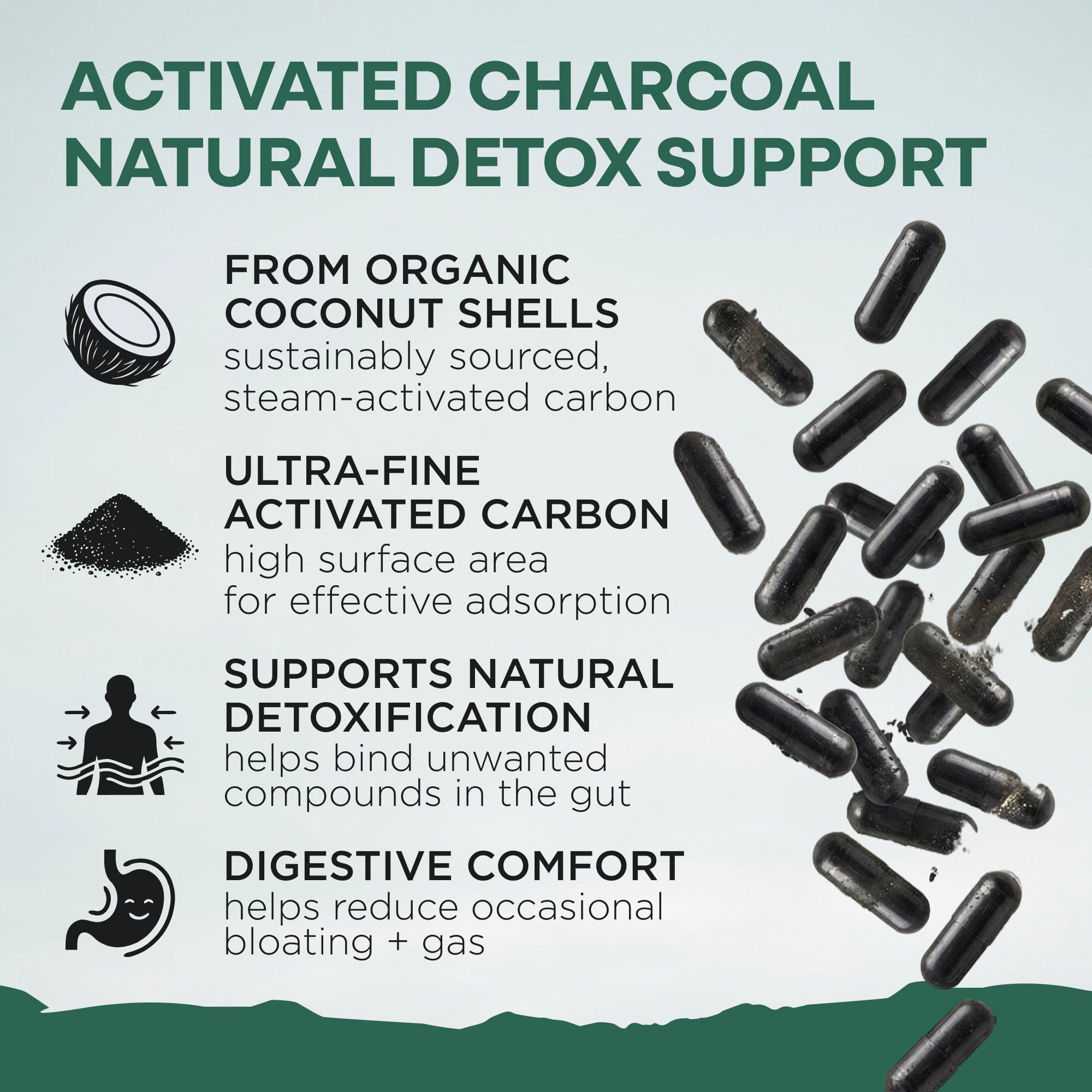 Wild Foods Supplements Activated Charcoal Capsules – 100% Organic Coconut Shells
