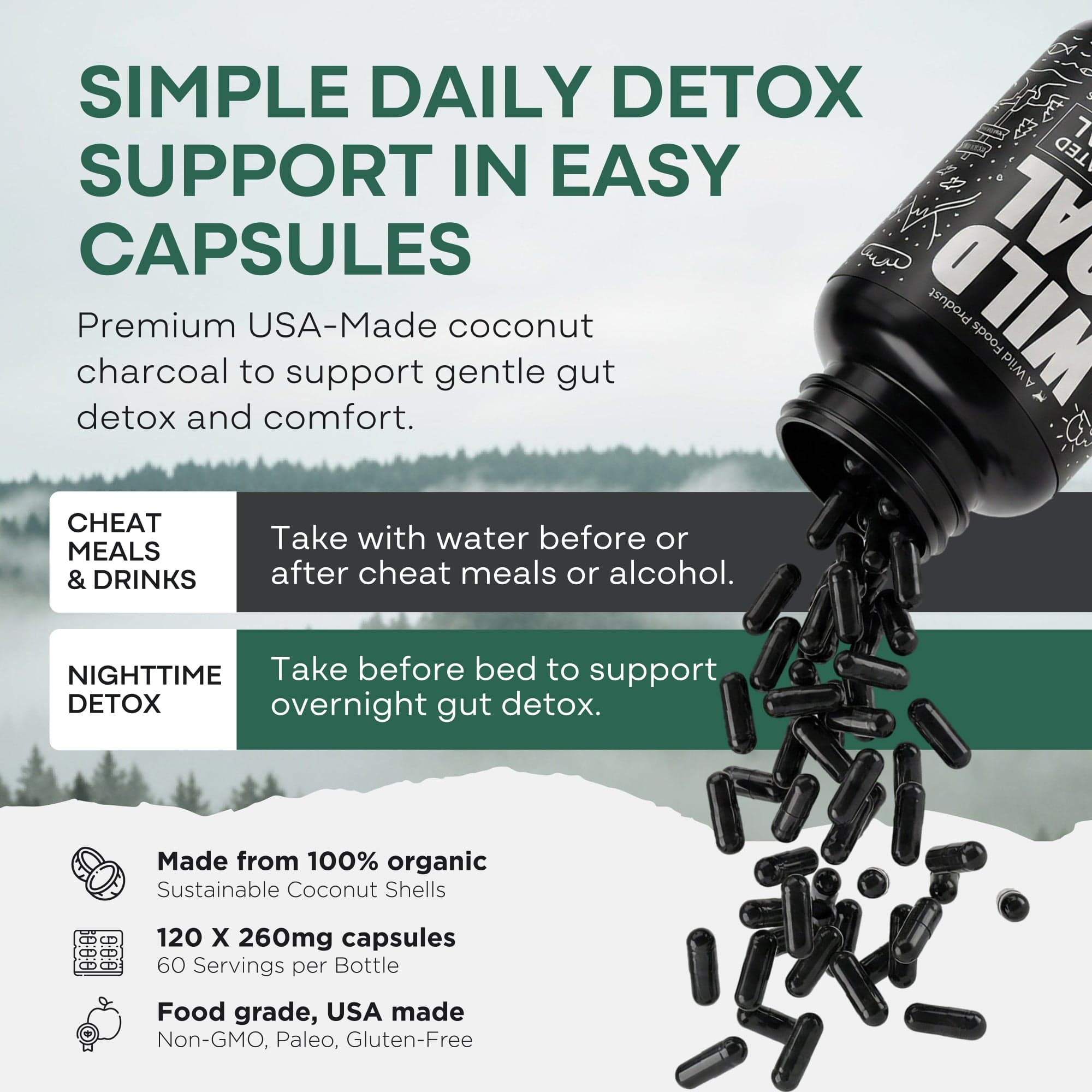 Wild Foods Supplements Activated Charcoal Capsules – 100% Organic Coconut Shells