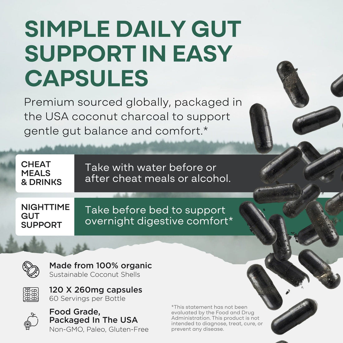 Wild Foods Supplements Activated Charcoal Capsules – 100% Organic Coconut Shells