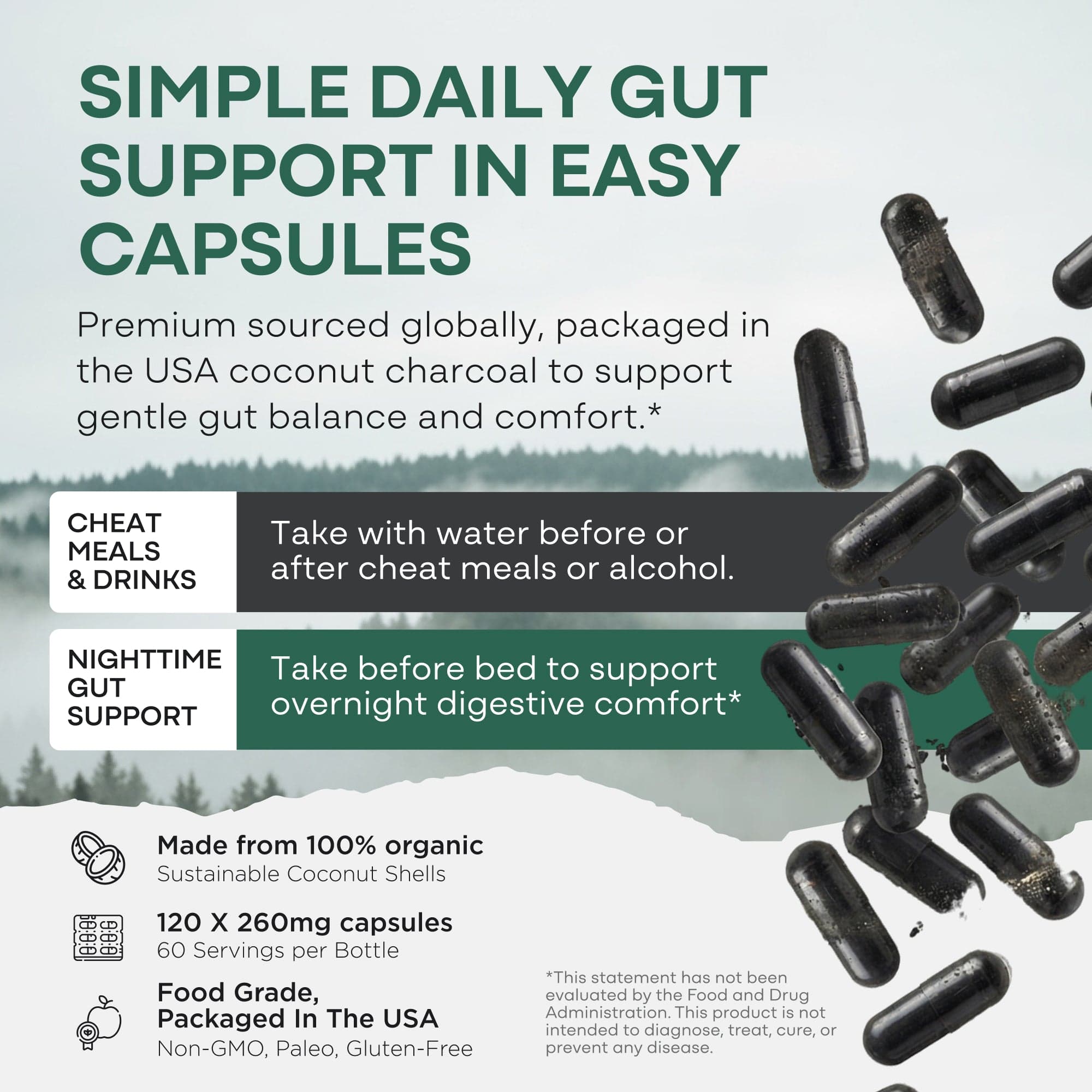 Wild Foods Supplements Activated Charcoal Capsules – 100% Organic Coconut Shells