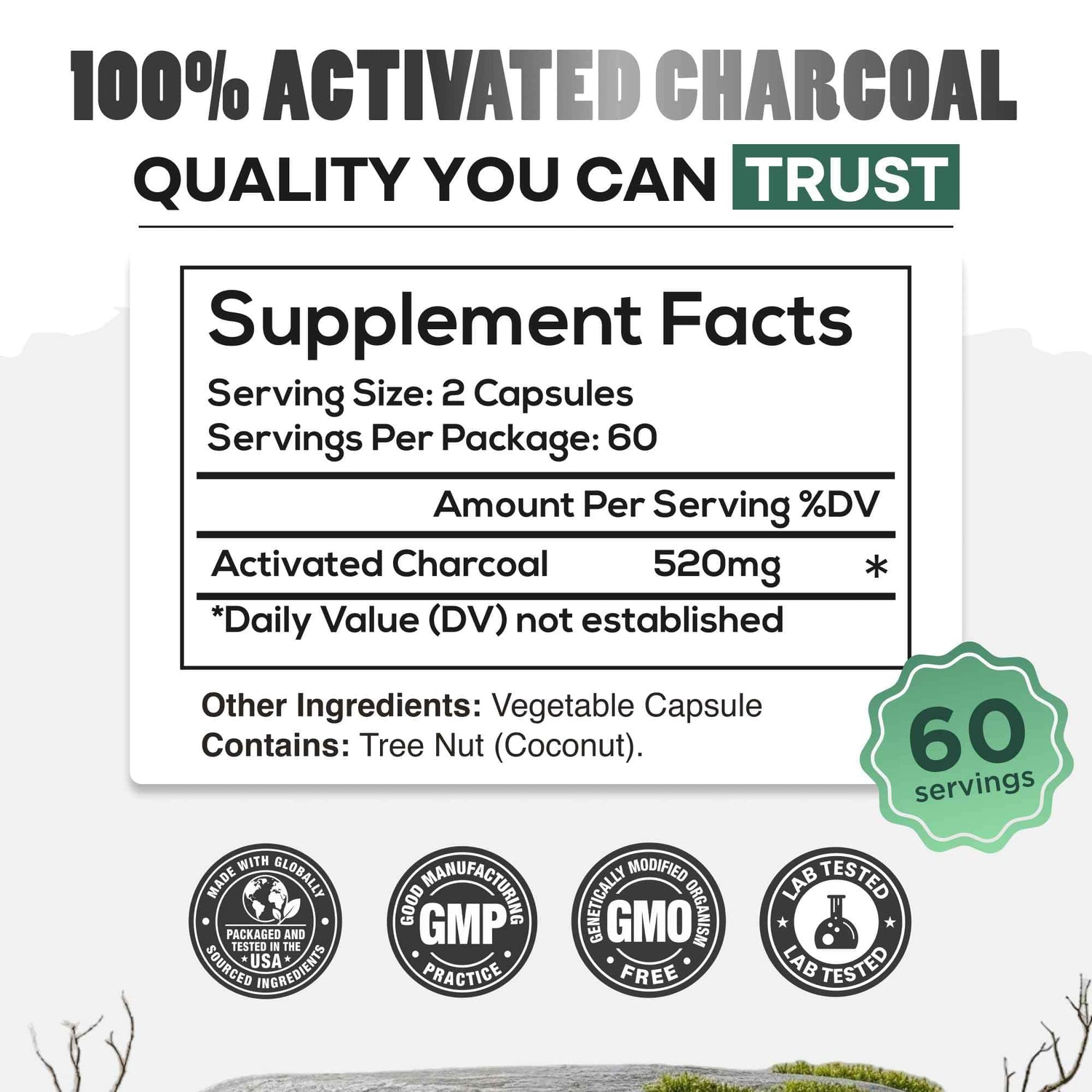 Wild Foods Supplements Activated Charcoal Capsules – 100% Organic Coconut Shells