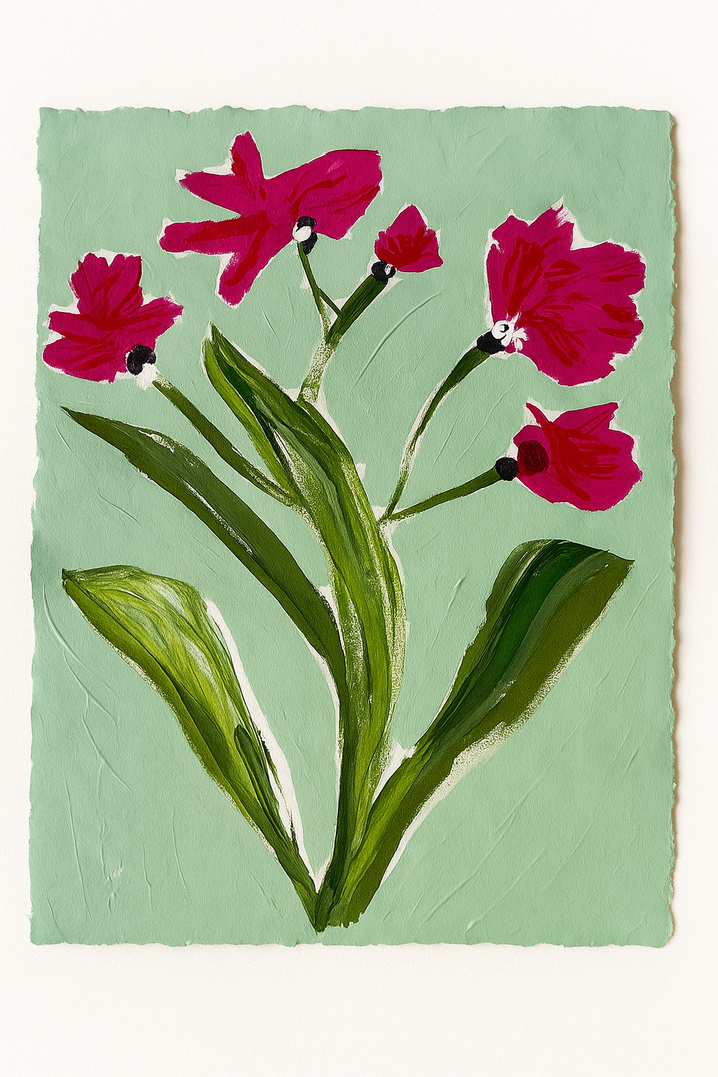 Pink Zinnia