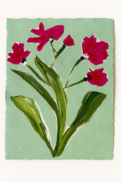 Pink Zinnia