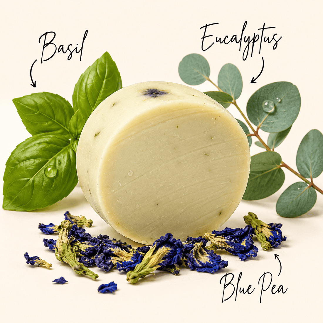 Aster Earth Bath And Body DGAF, Eucalyptus and Basil, Soap Bar