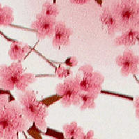 Rogue Industries RFID Sleeve RFID Blocking Credit Card Sleeves - Cherry