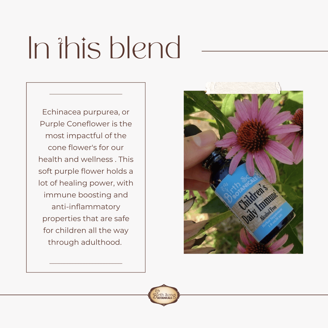 Birth Song Botanicals Co. Tinctures Children&