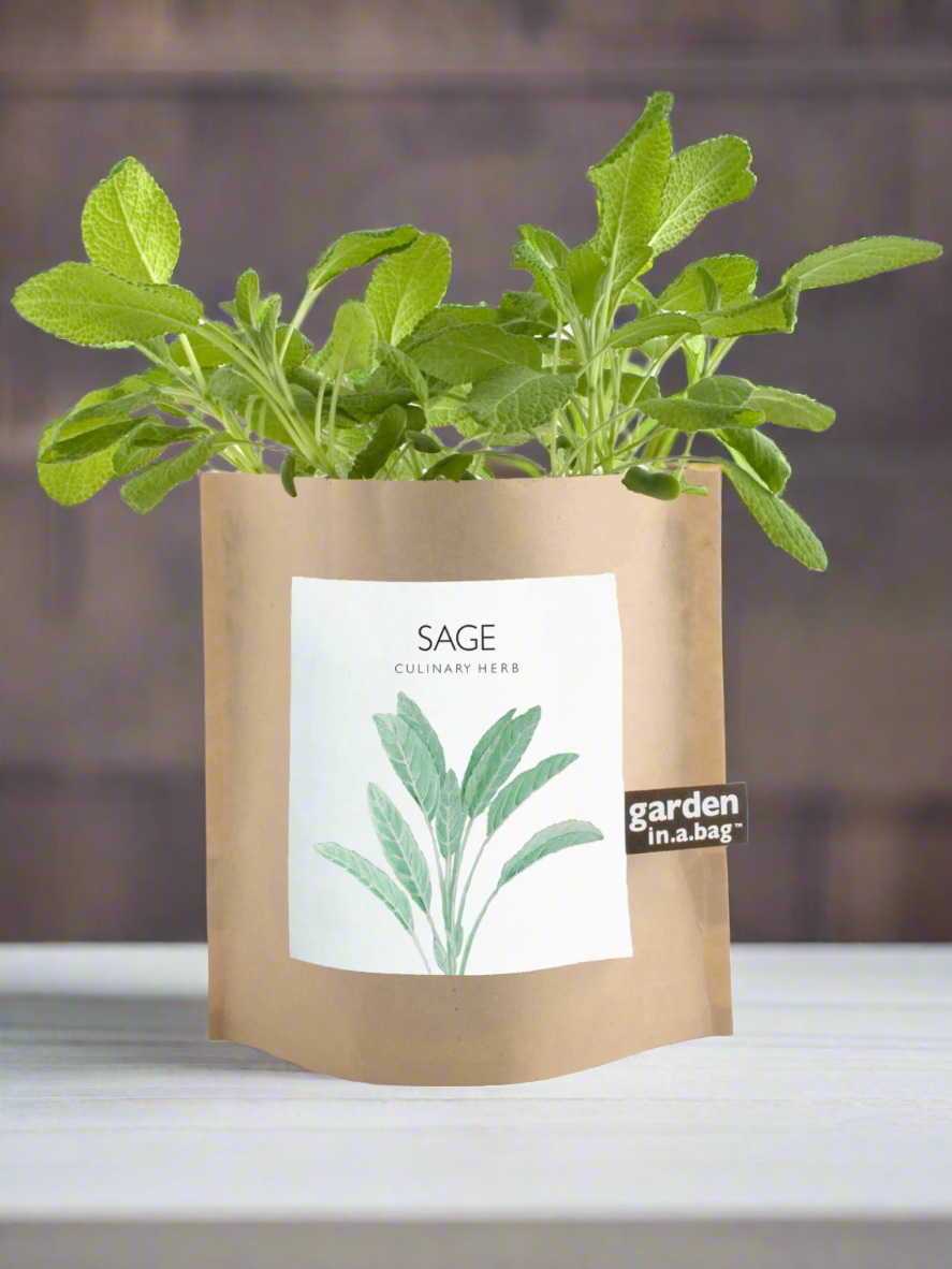 Garden in a Bag - Herbs - My American Goods