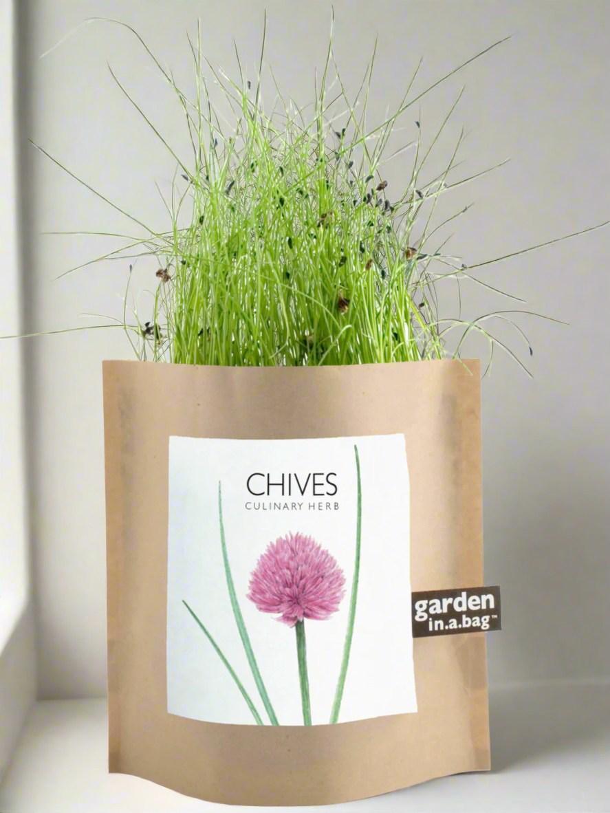 Garden in a Bag - Herbs - My American Goods