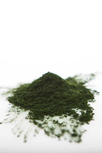 Sun Potion Adaptogen 111g Jar Chlorella Powder (Organic, Sound Processed)