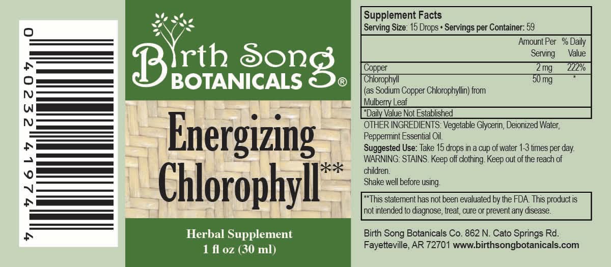 Birth Song Botanicals Co. Tinctures Default Chlorophyll Liquid Drops with Peppermint – 1 oz.