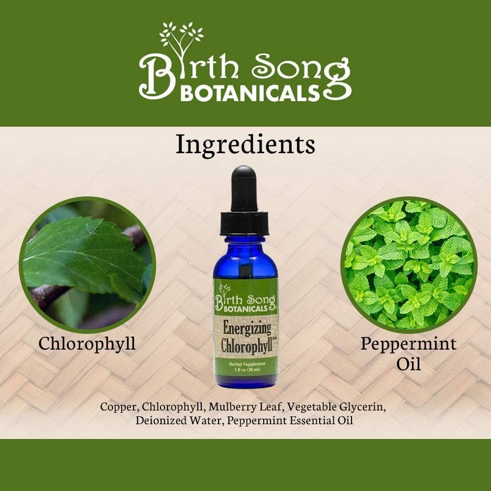 Birth Song Botanicals Co. Tinctures Default Chlorophyll Liquid Drops with Peppermint – 1 oz.