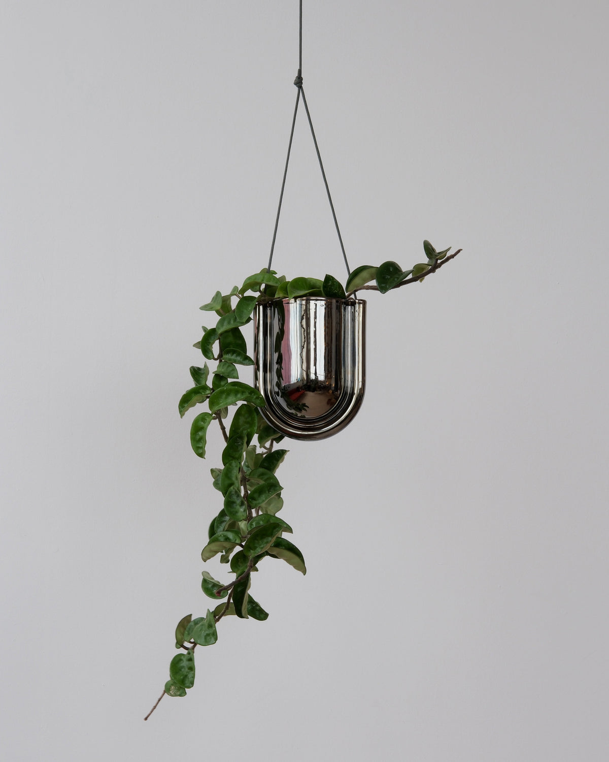 Portico Planter - Chrome
