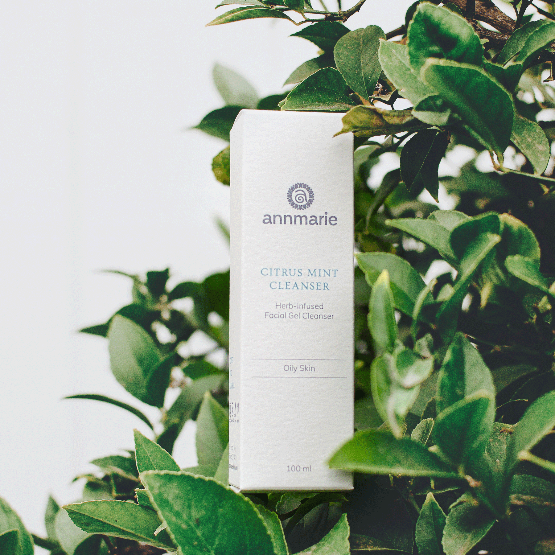 Annmarie Skin Care HIDDEN Citrus Mint Cleanser (100ml)