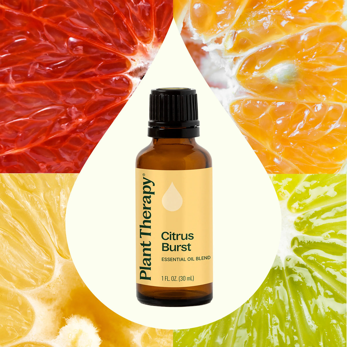 Citrus Burst Essential Oil Blend