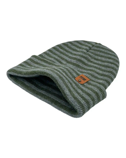 Classic RoRo Cuffed Beanie, Gray and Green