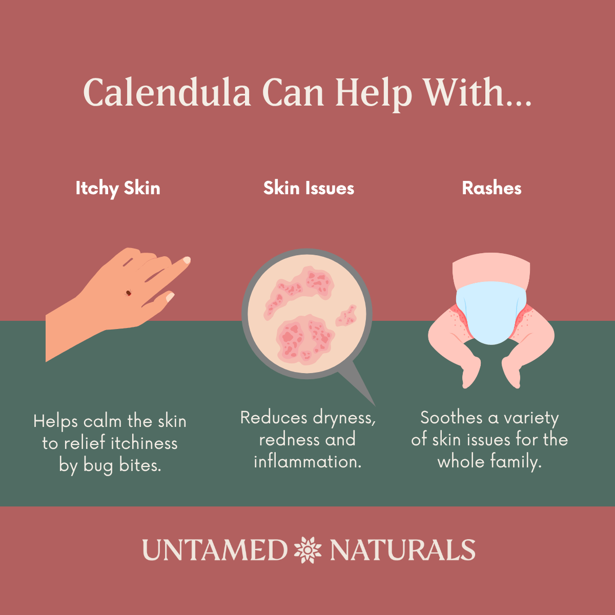 UnTamed Naturals All Products Calendula Balm
