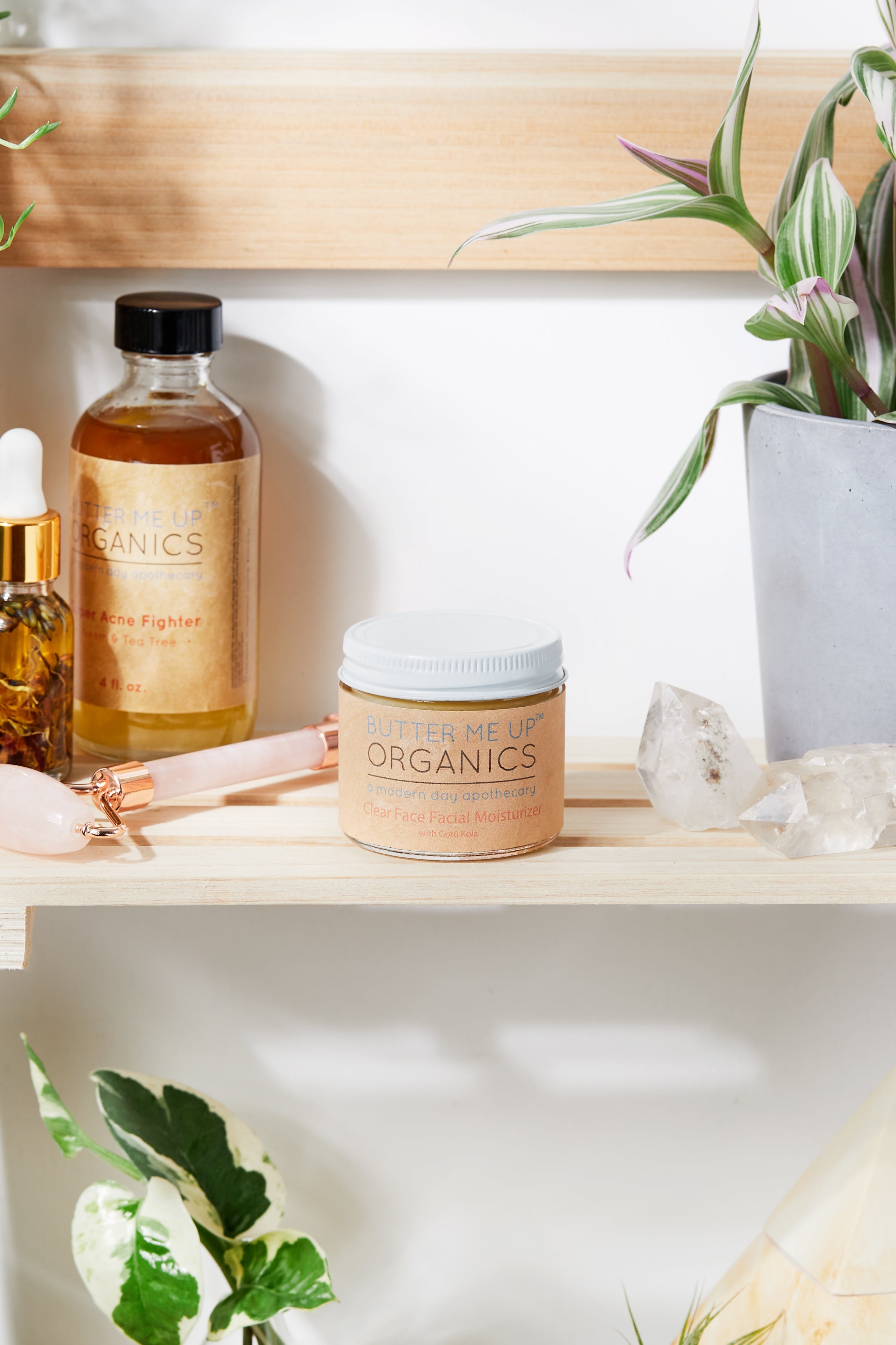 Green Tea Anti-Aging Night Cream