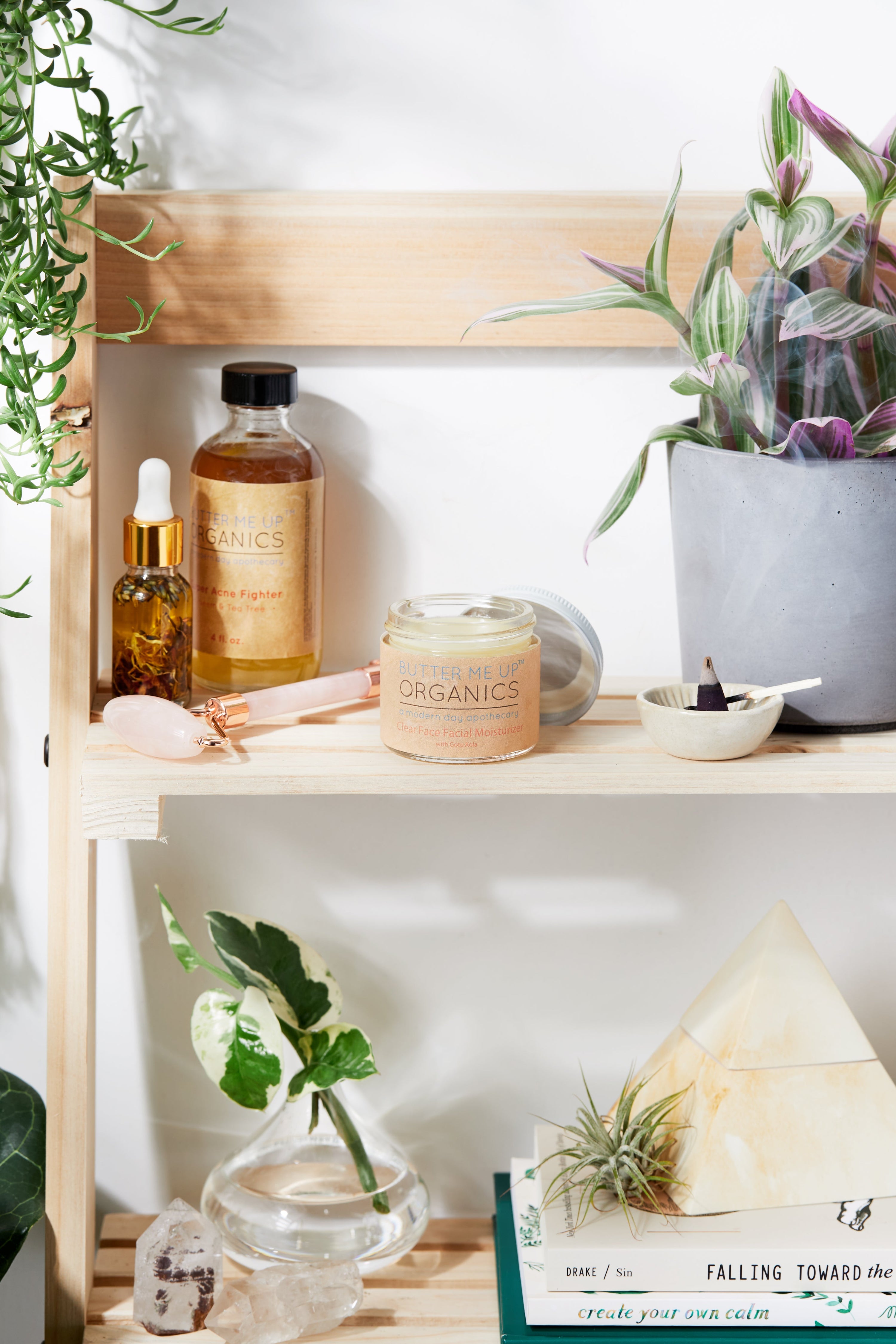 Green Tea Anti-Aging Night Cream